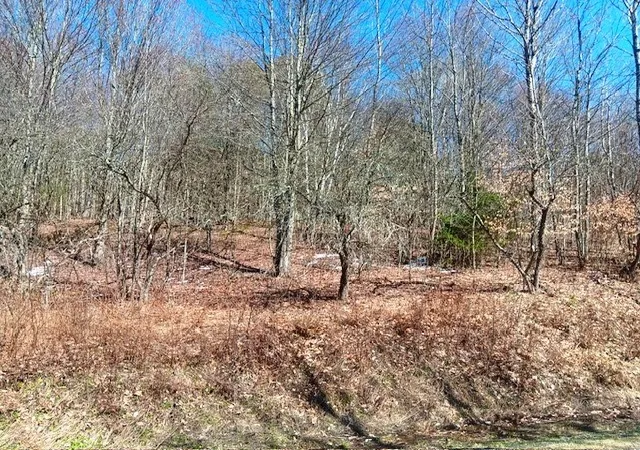 4th image of 708 Smokey Ave, Maryland, NY 12155 | MLS# R1552964