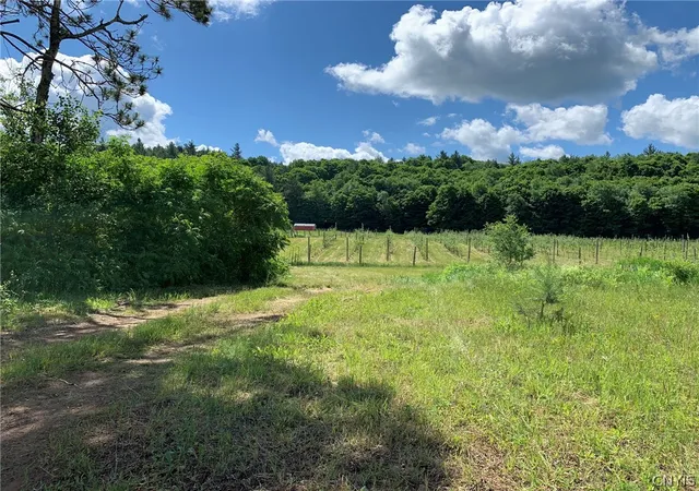 1st image of 646 State Hwy 3, Pitcairn, NY 13648 | MLS# S1553371