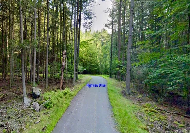 Homes for sale in Bethel, NY | 0 Orange Ave, Bethel, NY 12778 | MLS# R1565541