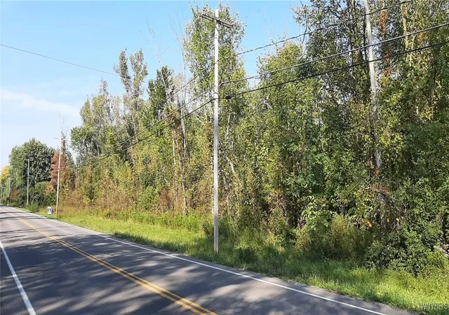 Homes for sale in Cambria, NY | V/l Burch Rd, Cambria, NY 14131 | MLS# B1567321