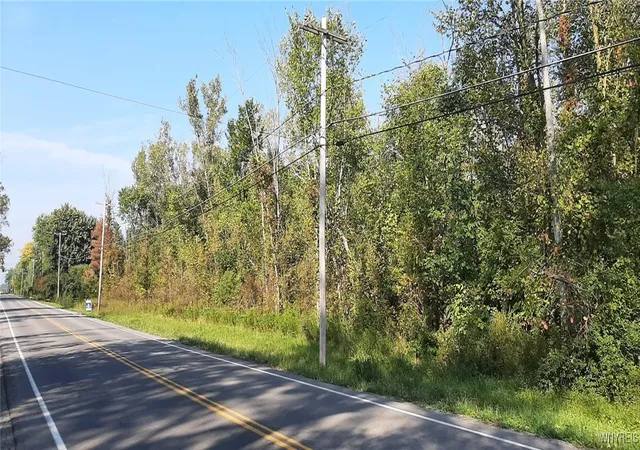 Homes for sale in Cambria, NY | V/l Burch Rd, Cambria, NY 14131 | MLS# B1567321