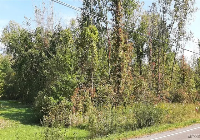 4th image of V/L Burch Rd, Ransomville, NY 14131 | MLS# B1567321