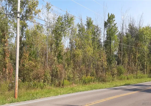 Homes for sale in Cambria, NY | V/l Burch Rd, Cambria, NY 14131 | MLS# B1567321