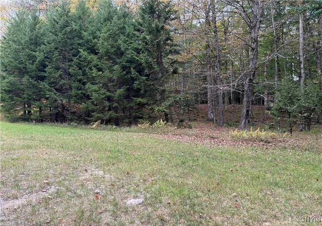Homes for sale in Webb, NY | 0 Deer Meadows, Webb, NY 13420 | MLS# S1567503