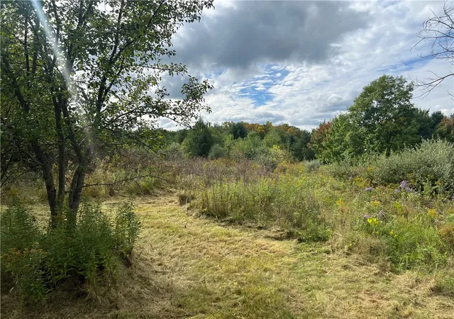 13th image of O Grove Springs/ Keuka Highlands Road Road, Wayne, NY 14893 | MLS# R1568062