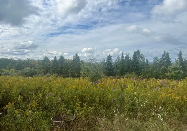 3rd image of O Grove Springs/ Keuka Highlands Road Road, Wayne, NY 14893 | MLS# R1568062