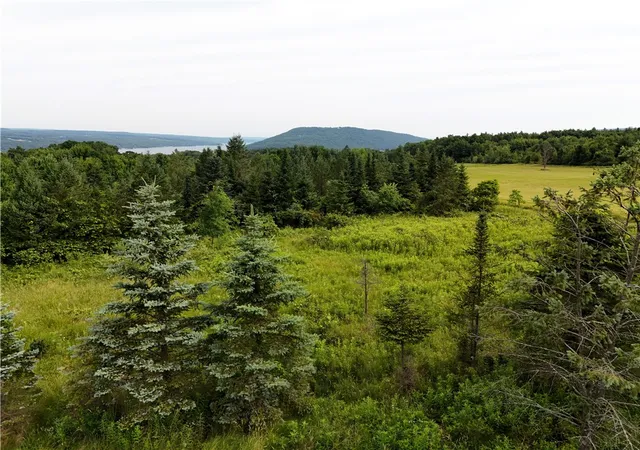 4th image of O Grove Springs/ Keuka Highlands Road Road, Wayne, NY 14893 | MLS# R1568062