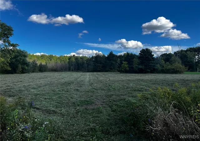1st image of Vl Creek Rd, Lewiston, NY 14092 | MLS# B1569573