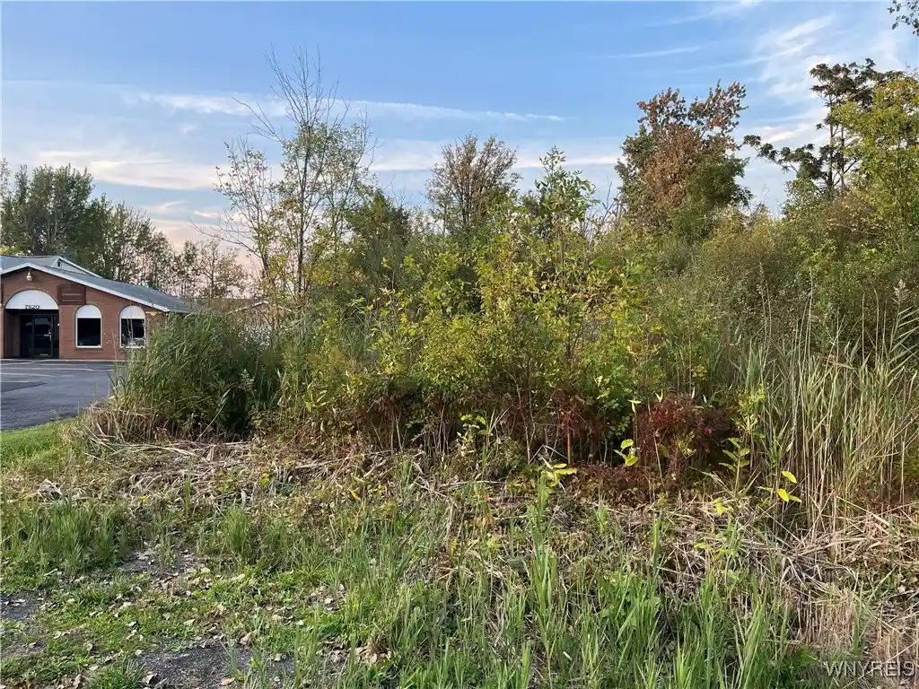 Photo 1 of Land for sale at V/l Porter Rd, Niagara, NY 14304 | MLS# B1569920 | Listing updated on 2026-10-20
