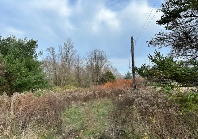 2nd image of 8379 Green Rd, West Sparta, NY 14437 | MLS# R1575336