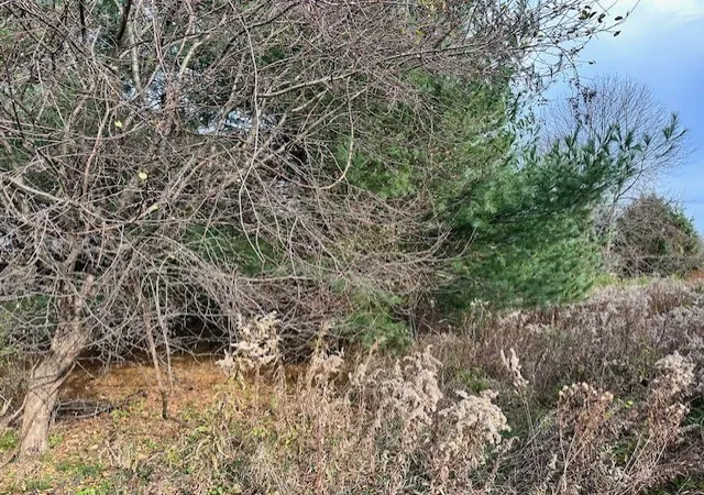 3rd image of 8379 Green Rd, West Sparta, NY 14437 | MLS# R1575336