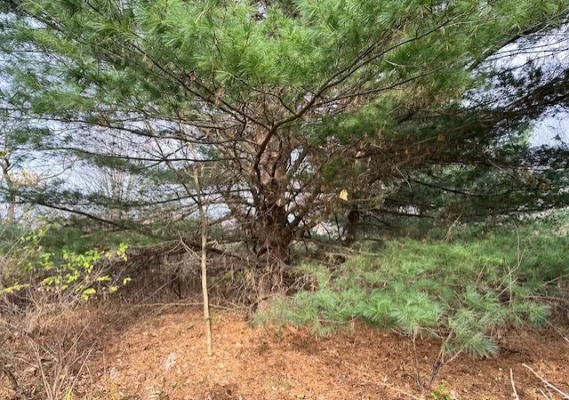 4th image of 8379 Green Rd, West Sparta, NY 14437 | MLS# R1575336