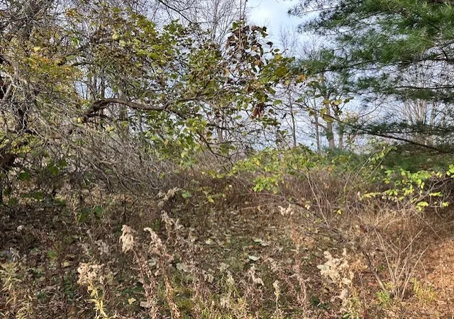 5th image of 8379 Green Rd, West Sparta, NY 14437 | MLS# R1575336