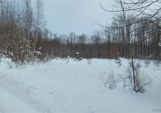 2nd image of Nys Rt 365, Trenton, NY 13438 | MLS# S1584416