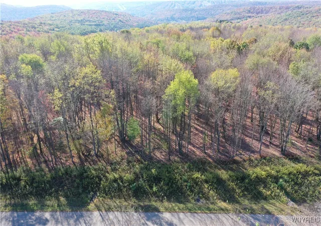Homes for sale in Ellicottville, NY | 11 Trail Heights, Ellicottville, NY 14731 | MLS# B1584861