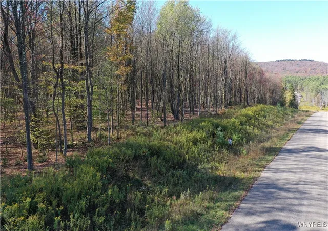 Homes for sale in Ellicottville, NY | 11 Trail Heights, Ellicottville, NY 14731 | MLS# B1584861