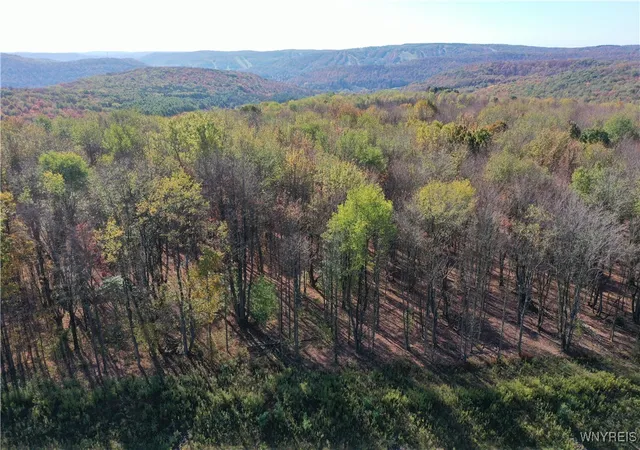 Homes for sale in Ellicottville, NY | 11 Trail Heights, Ellicottville, NY 14731 | MLS# B1584861