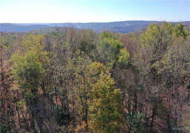 Homes for sale in Ellicottville, NY | 11 Trail Heights, Ellicottville, NY 14731 | MLS# B1584861