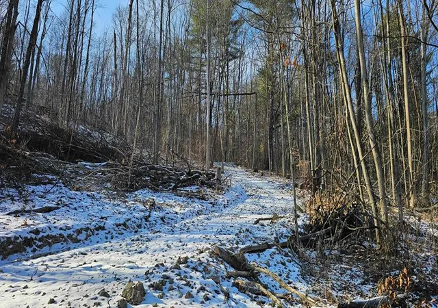 Photo 1 of Sale Pending at 00 Jenkins Rd, Lowman, NY 14861 | MLS# EC278408 | Listing updated on 2025-02-19