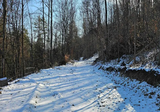 Photo 2 of Sale Pending at 00 Jenkins Rd, Lowman, NY 14861 | MLS# EC278408 | Listing updated on 2025-02-19