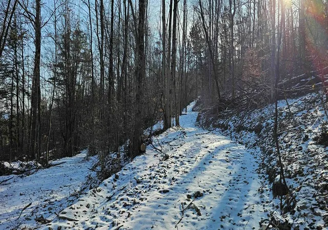 Photo 3 of Sale Pending at 00 Jenkins Rd, Lowman, NY 14861 | MLS# EC278408 | Listing updated on 2025-02-19