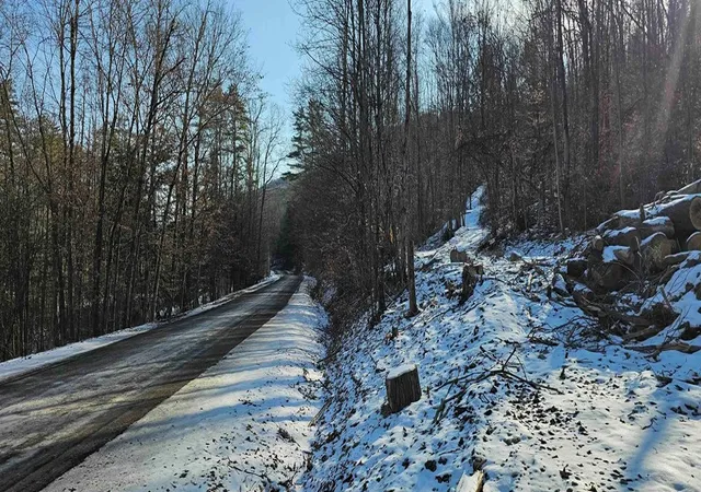 Photo 5 of Sale Pending at 00 Jenkins Rd, Lowman, NY 14861 | MLS# EC278408 | Listing updated on 2025-02-19