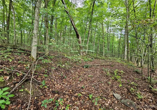 Homes for sale in Mansfield, NY | Dublin Terrace Rd, Mansfield, NY 14779 | MLS# B1591322