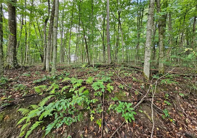 Homes for sale in Mansfield, NY | Dublin Terrace Rd, Mansfield, NY 14779 | MLS# B1591322