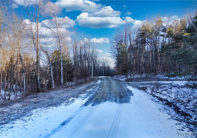 Homes for sale in Ellicottville, NY | 10 & 11 Creek Ridge Rd, Ellicottville, NY 14731 | MLS# B1594395