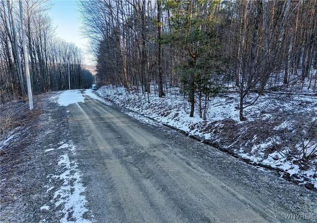 Homes for sale in Ellicottville, NY | 10 & 11 Creek Ridge Rd, Ellicottville, NY 14731 | MLS# B1594395