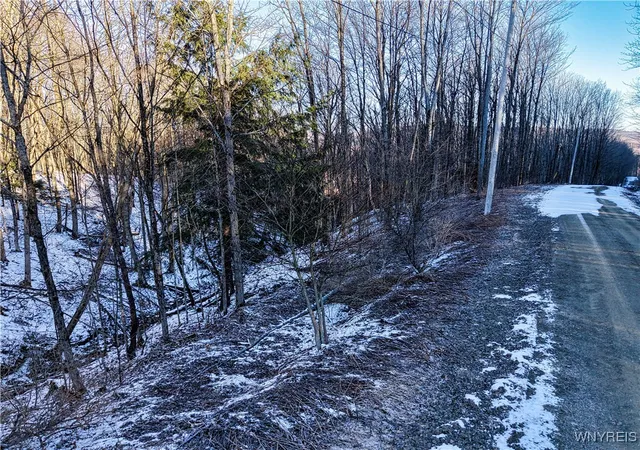 Homes for sale in Ellicottville, NY | 26 & 27 Creek Ridge Rd, Ellicottville, NY 14731 | MLS# B1594401