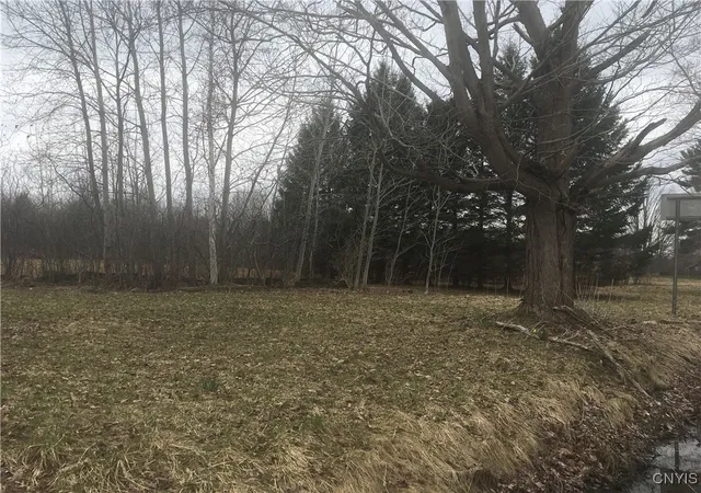 Homes for sale in Richland, NY | Rome Rd, Richland, NY 13142 | MLS# S1599093
