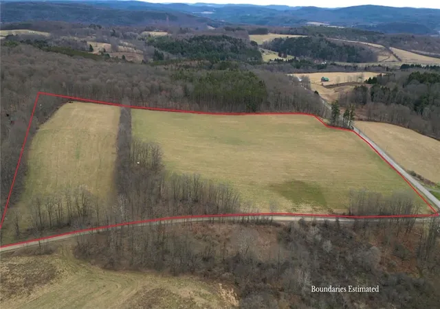 15th image of 0 Perkins Rd, Hartwick, NY 13348 | MLS# R1597999