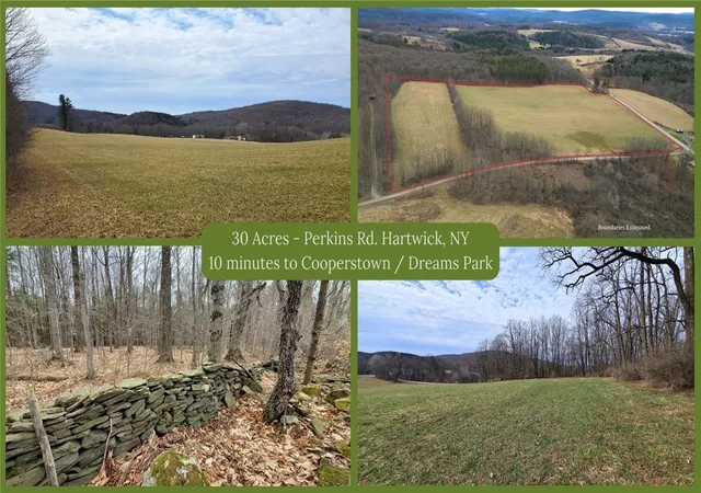 1st image of 0 Perkins Rd, Hartwick, NY 13348 | MLS# R1597999