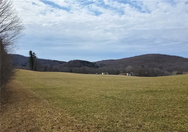 4th image of 0 Perkins Rd, Hartwick, NY 13348 | MLS# R1597999