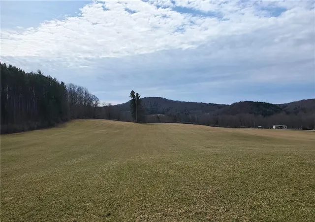 5th image of 0 Perkins Rd, Hartwick, NY 13348 | MLS# R1597999