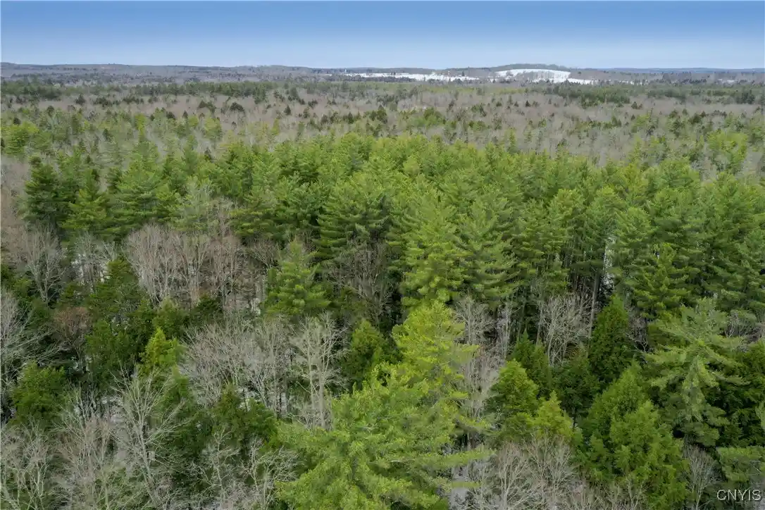 Photo 1 of Land for sale at Elpis Rd, Camden, NY 13316 | MLS# S1599710 | Listing updated on 2026-07-22
