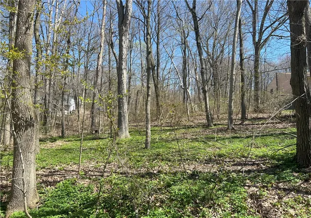 3rd image of Janes Rd, Castile, NY 13901 | MLS# R1603875