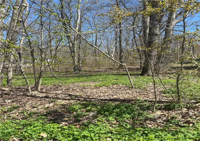 5th image of Janes Rd, Castile, NY 13901 | MLS# R1603875