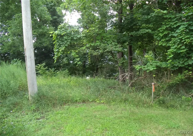 1st image of S Terry Rd, Syracuse, NY 13219 | MLS# S1605073