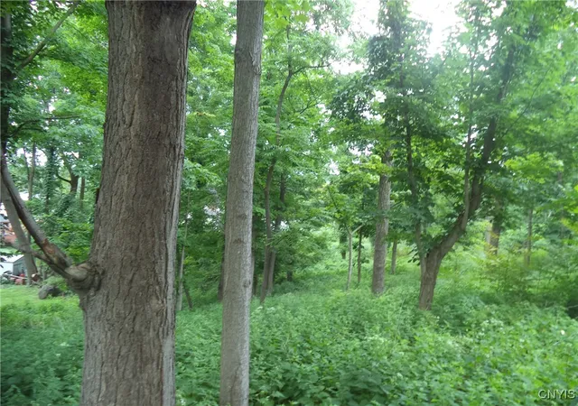 2nd image of S Terry Rd, Syracuse, NY 13219 | MLS# S1605073