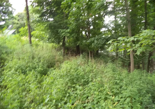 Photo 3 of Land for sale at S Terry Rd, Syracuse, NY 13219 | MLS# S1605073 | Listing updated on 2026-04-21
