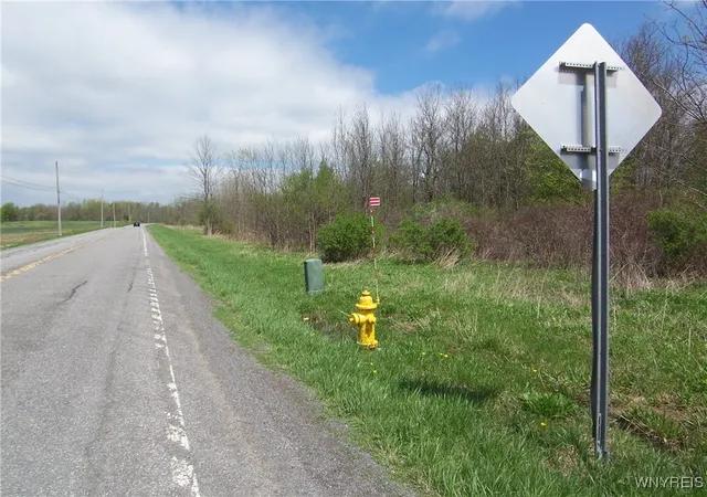 Photo 3 of Land for sale at 0 Pearl & Wortendyke Rd, Batavia, NY 14020 | MLS# B1605288 | Listing updated on 2026-04-09
