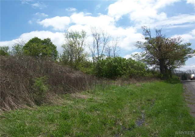 Photo 4 of Land for sale at 0 Pearl & Wortendyke Rd, Batavia, NY 14020 | MLS# B1605288 | Listing updated on 2026-04-09