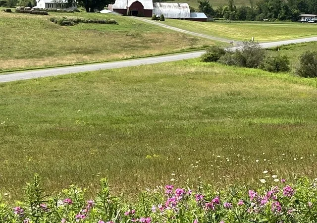 18th image of 463 Cemetery Rd, Cobleskill, NY 12043 | MLS# R1606320