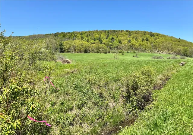1st image of 463 Cemetery Rd, Cobleskill, NY 12043 | MLS# R1606320