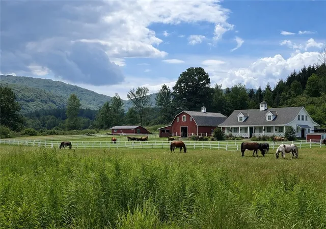 3rd image of 463 Cemetery Rd, Cobleskill, NY 12043 | MLS# R1606320