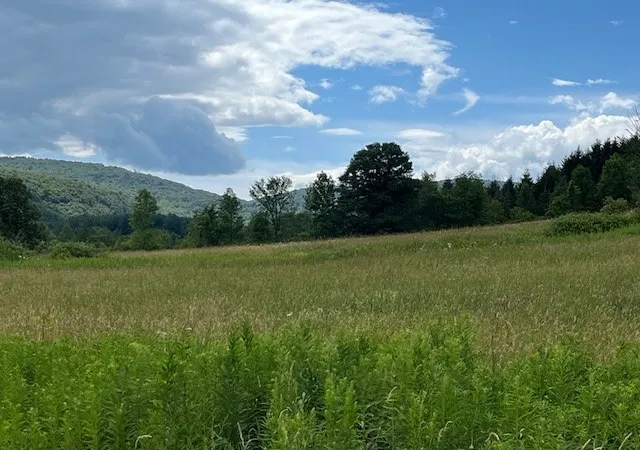 5th image of 463 Cemetery Rd, Cobleskill, NY 12043 | MLS# R1606320