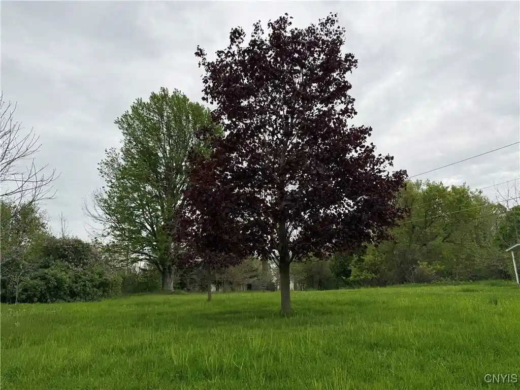 Photo 1 of Land for sale at 226 Wealtha, Watertown, NY 13601 | MLS# S1606802 | Listing updated on 2026-05-10