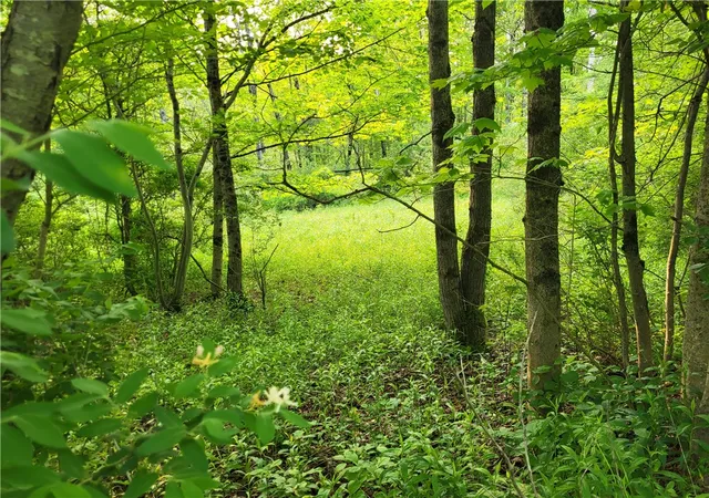 1st image of Lot 141 Joe Rd, Lincklaen, NY 13155 | MLS# R1608486